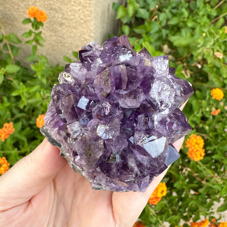 Amethyst Geode Raw Flower
