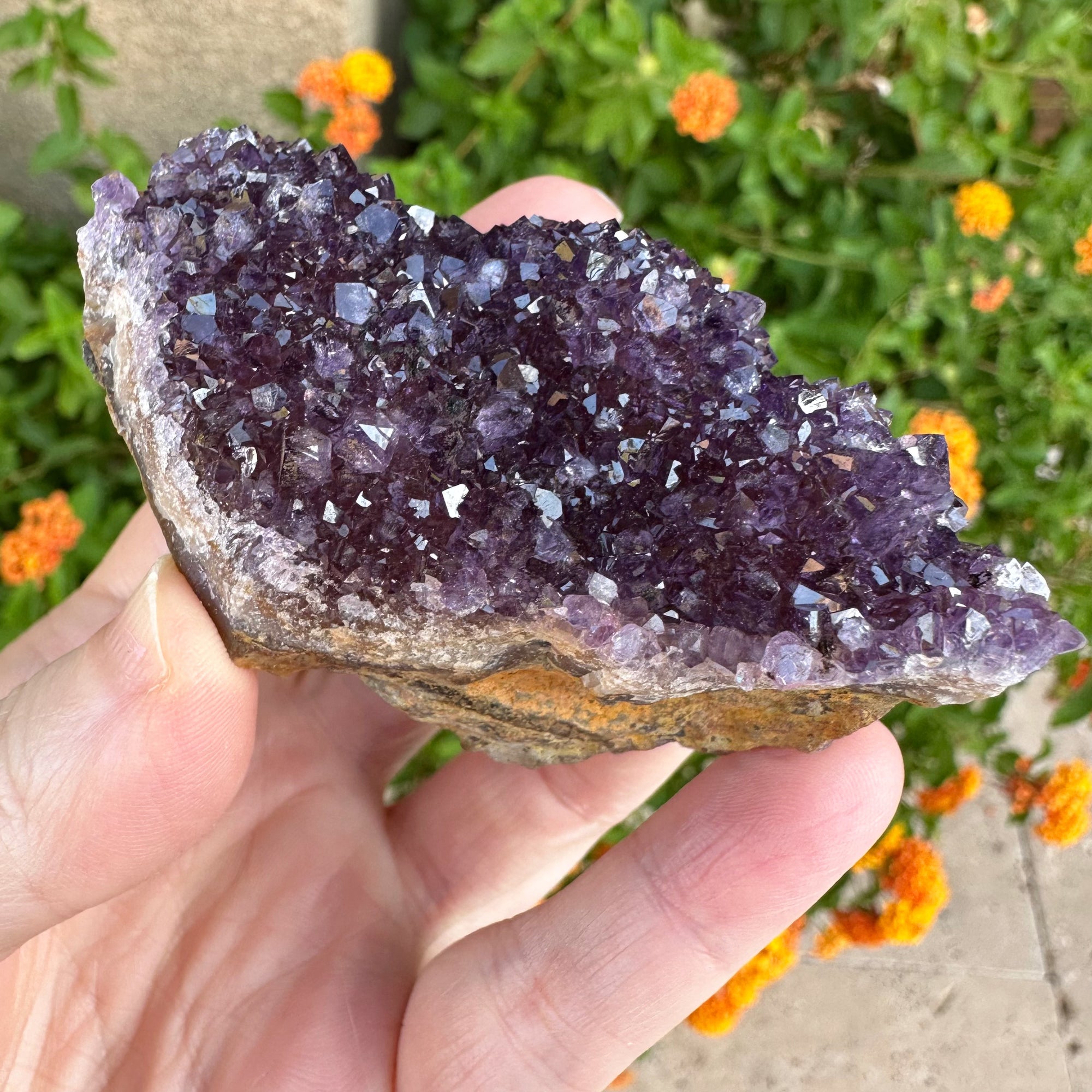 Amethyst Geode Raw
