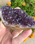 Amethyst Geode Raw