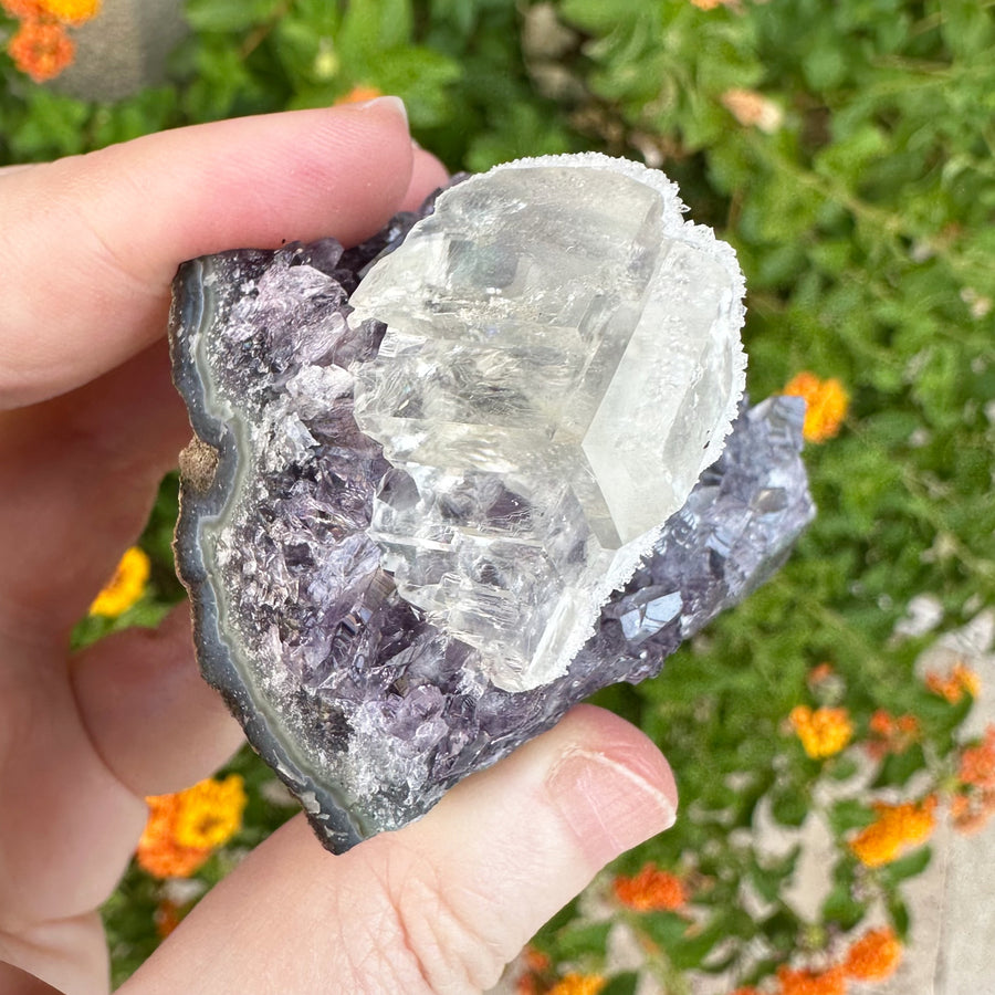 Amethyst Geode Raw With Clear Quartz Crystals and Rainbows