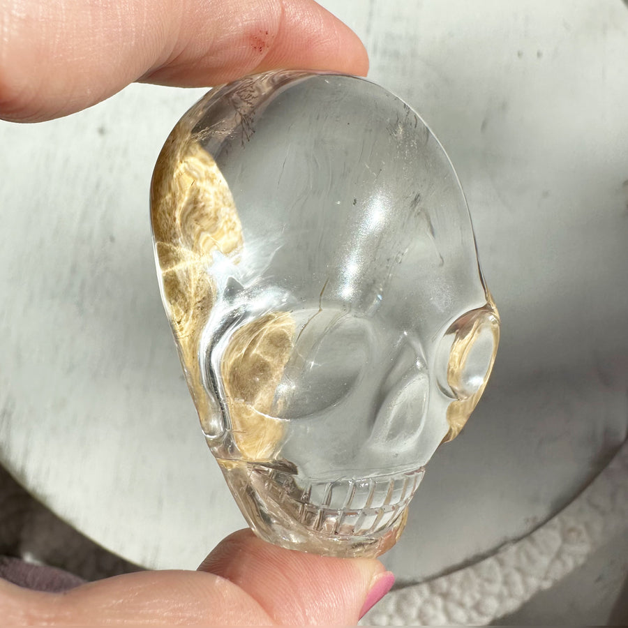 Lodolite Quartz Palm Crystal Skull Carved by Leandro de Souza
