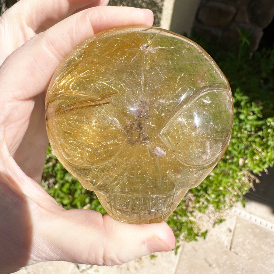 Large Rutile Citrine Lodolite Quartz Starbeing Palm Crystal Skull Carved by Leandro de Souza