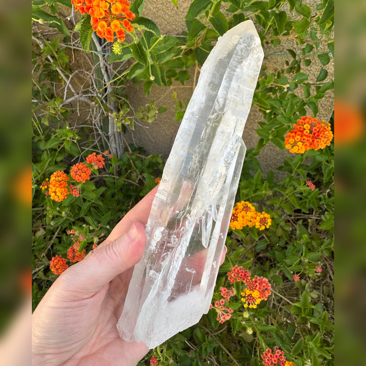 Twin Lemurian Quartz Crystal from Diamantina Brazil