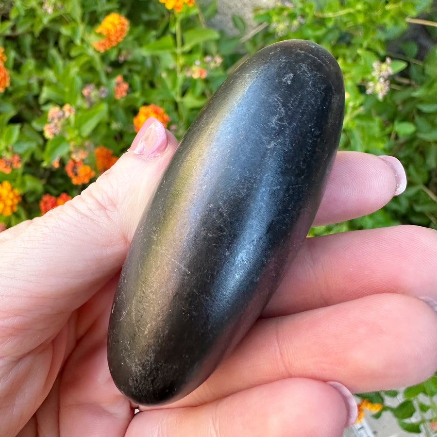 Rare Black Shiva Lingam