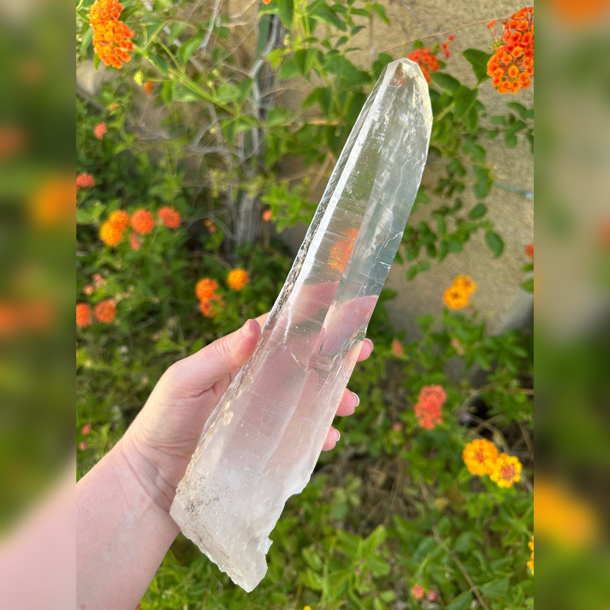 Powerhouse Lemurian Quartz Crystal from Diamantina Brazil