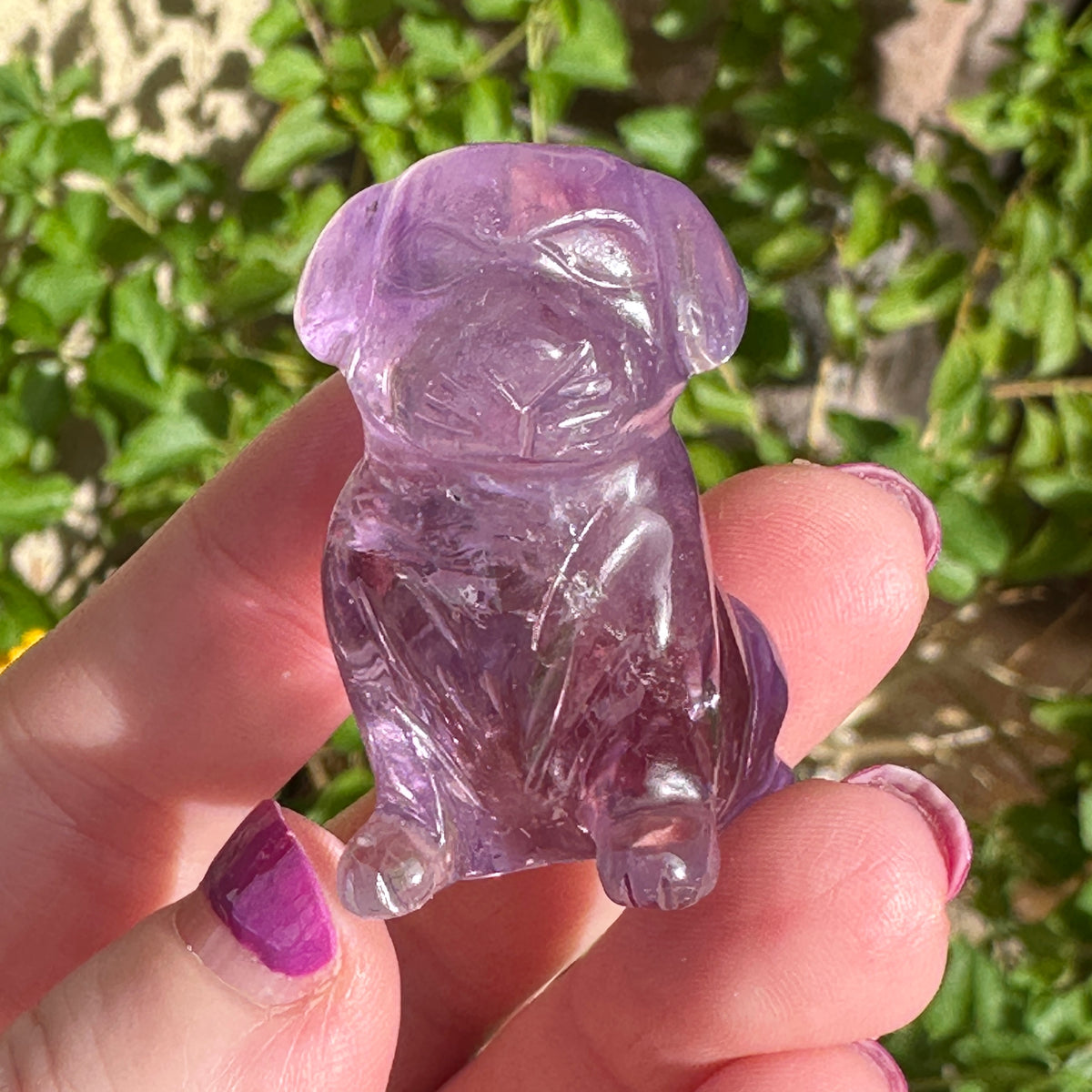 Amethyst Crystal Puppy Carved by Leandro de Souza