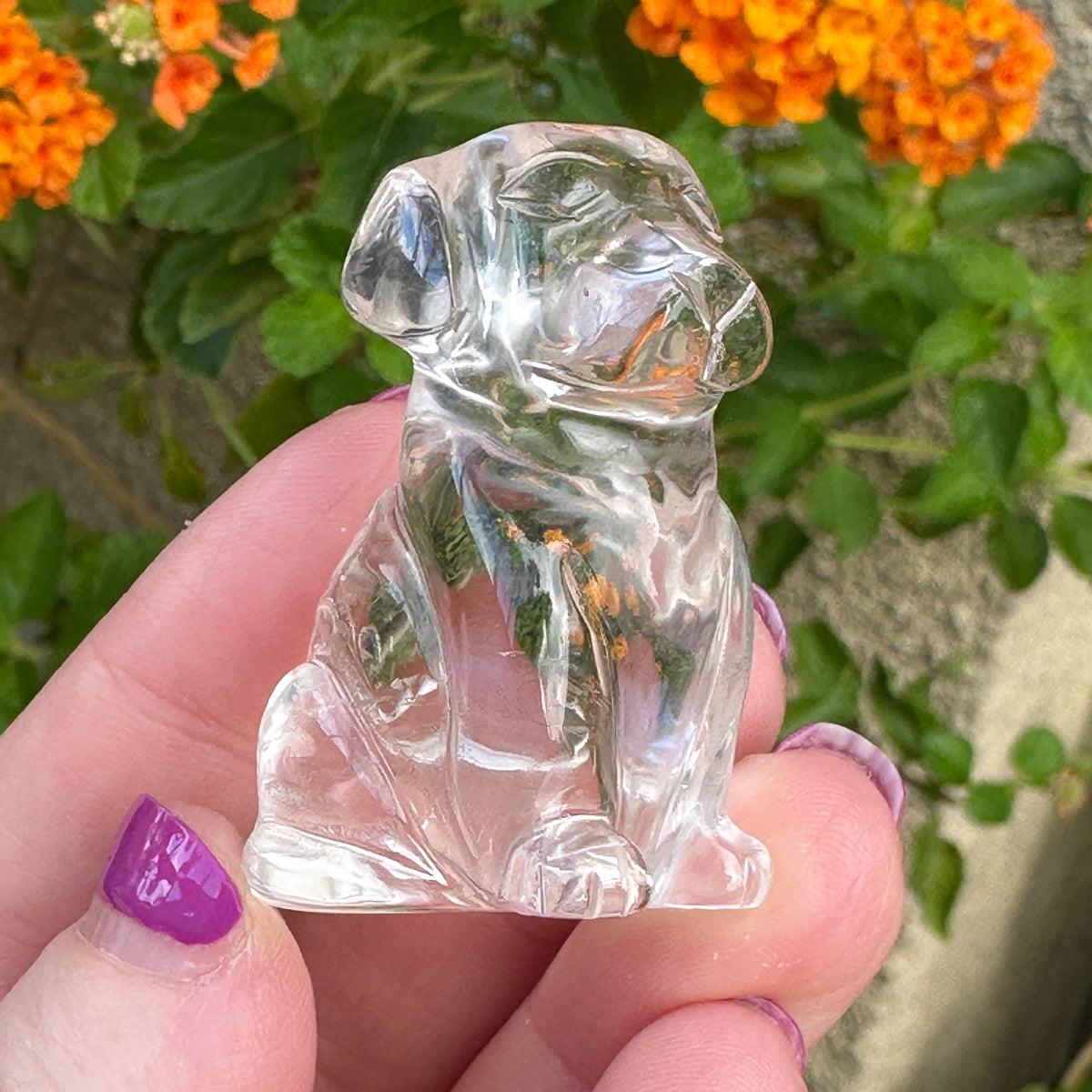 Sirius Quartz Crystal Puppy Carved by Leandro de Souza