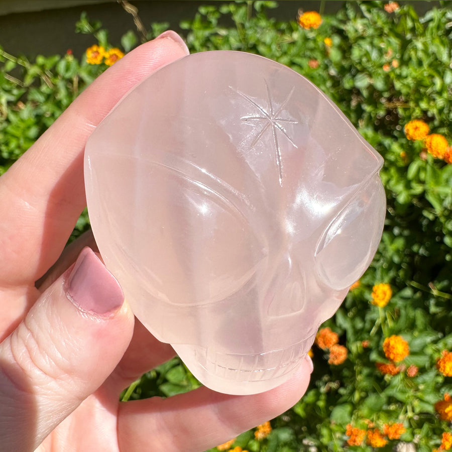 Rose Girasol Quartz Palm Starbeing Crystal Skull Carved by Leandro de Souza