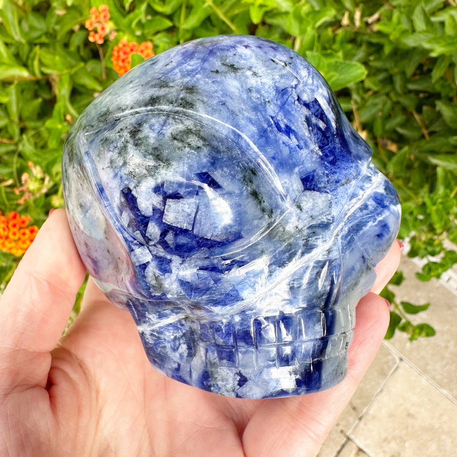 Sodalite Star Child Crystal Skull Carved by Leandro de Souza