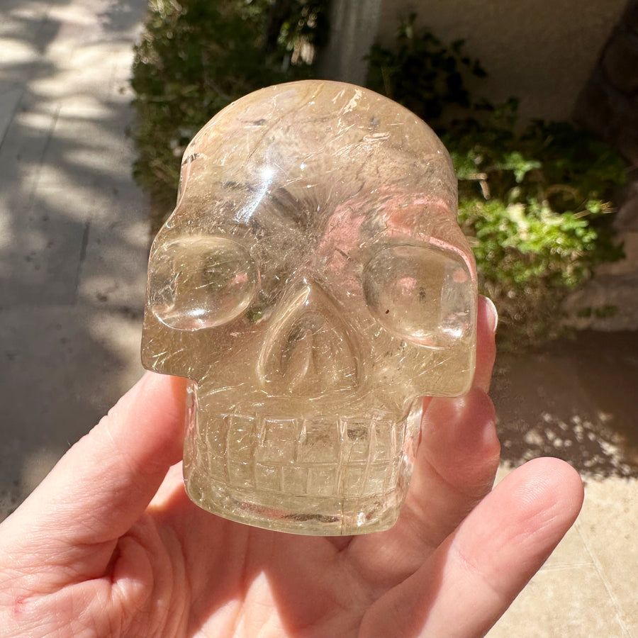 Golden Rutile Citrine Crystal Skull With Rainbows Carved by Leandro de Souza