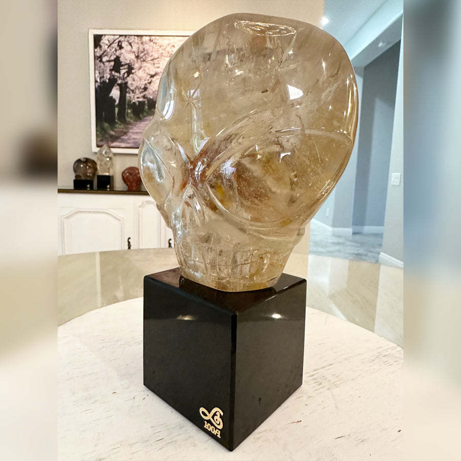 Circle 100-1 Rutile Shaman Quartz Magical Child Master Crystal Skull Carved by Leandro de Souza