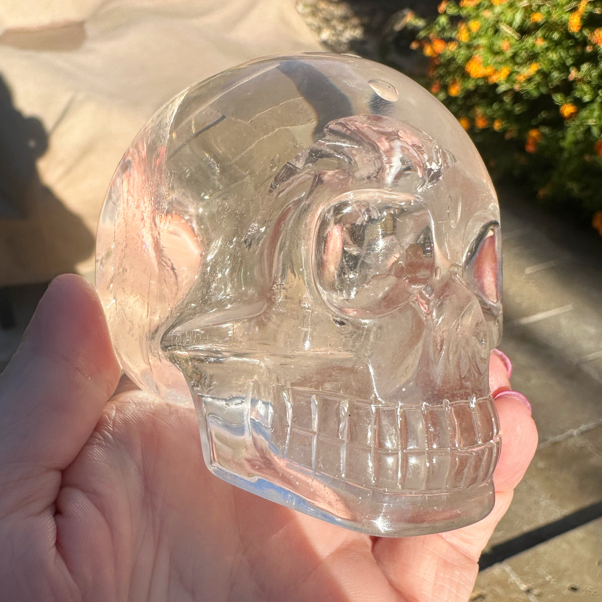 Clear Sirius Quartz Crystal Skull with Rainbows Carved by Leandro de Souza