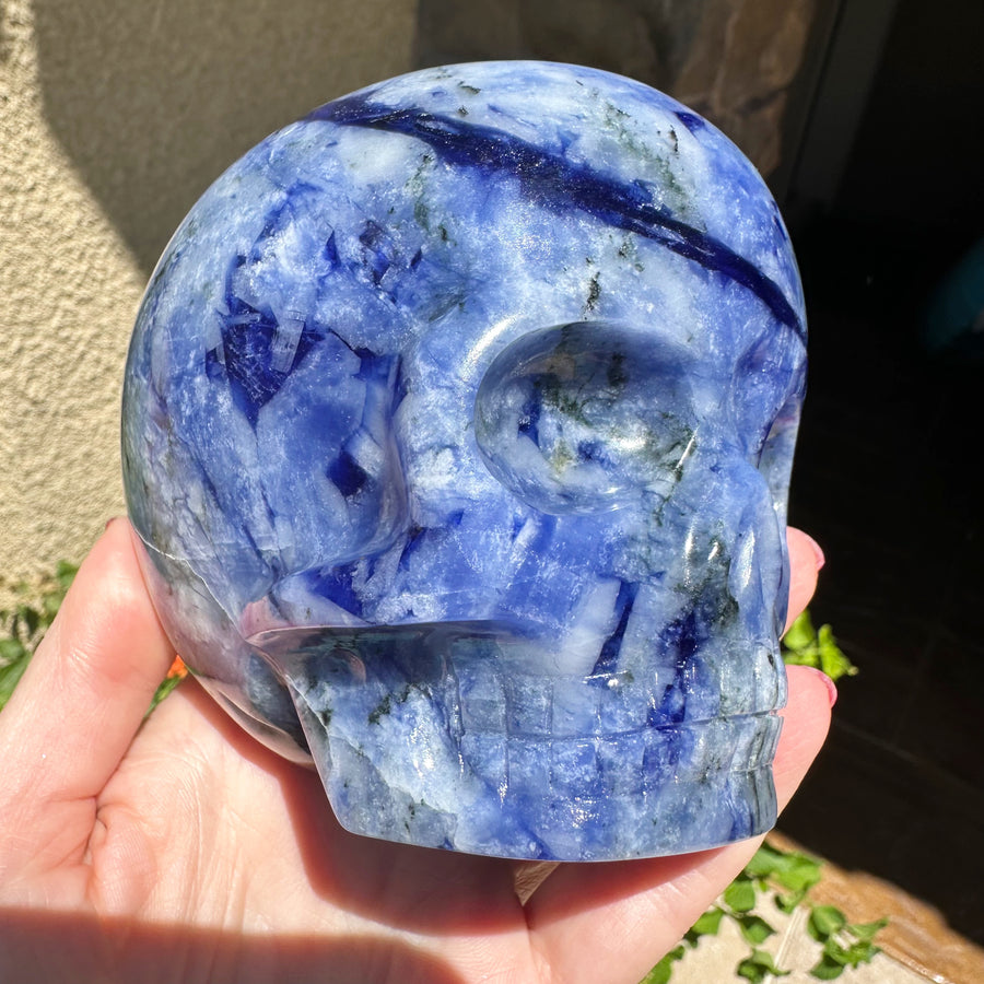 Sodalite Magical Child Crystal Skull Carved by Leandro de Souza
