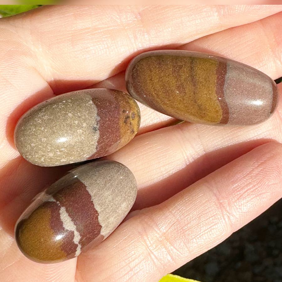 Polished Shiva Lingam