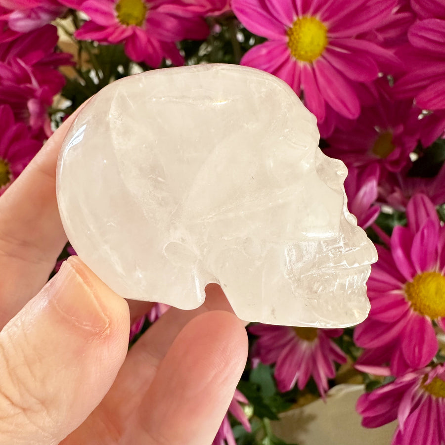 Quartz Crystal Skull Small