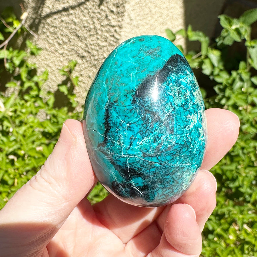 Chrysocolla Egg from Peru High Grade