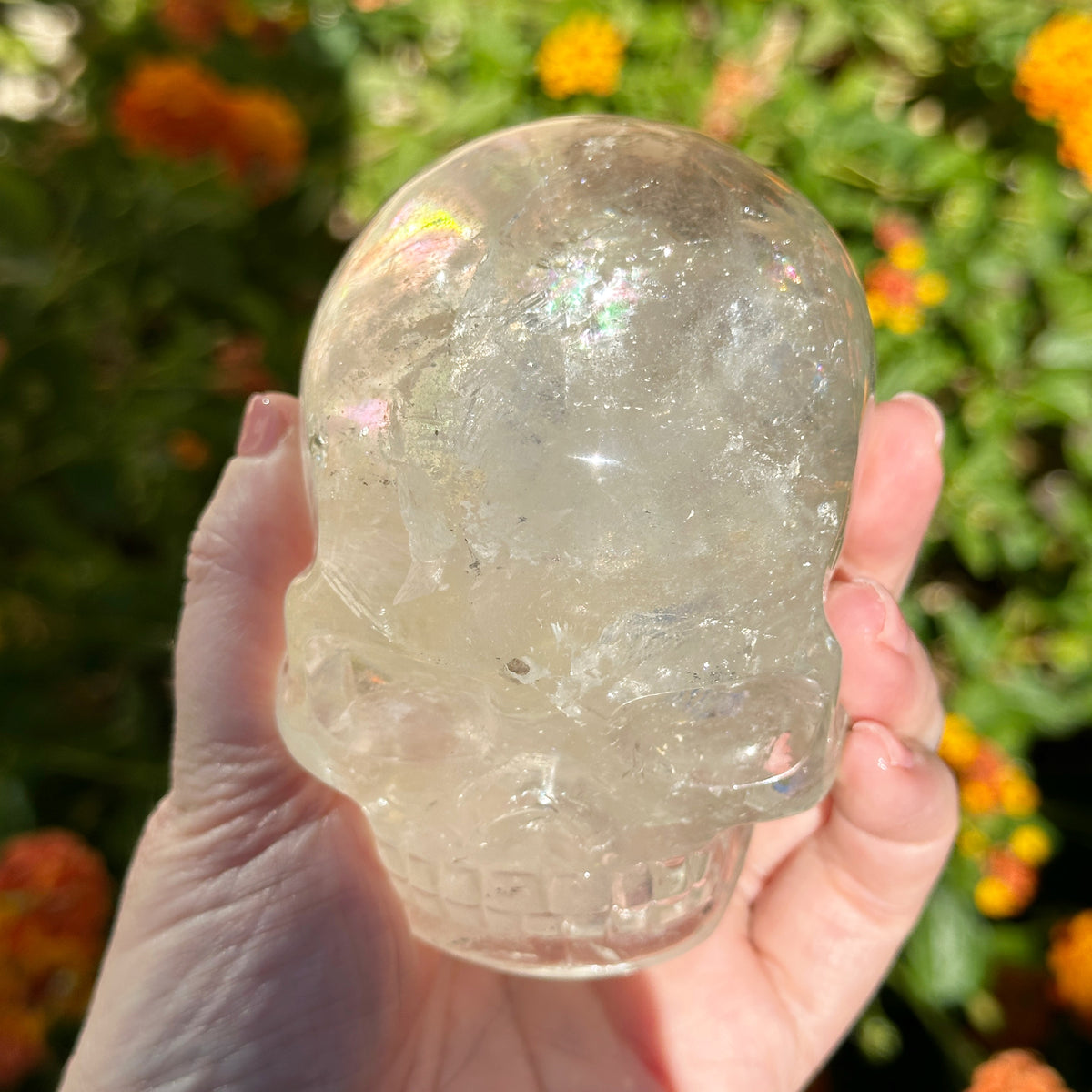 Lemurian Crystal Skull with Rainbows Carved by Leandro de Souza