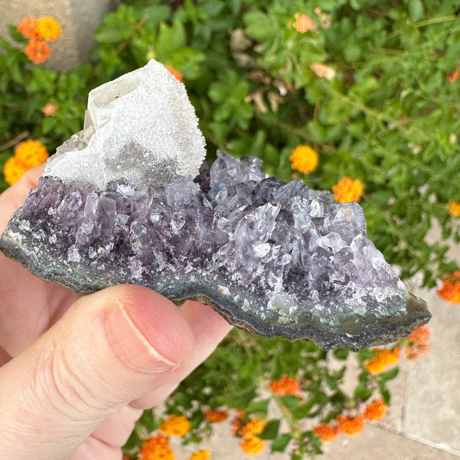Amethyst Geode Raw With Clear Quartz Crystals and Rainbows