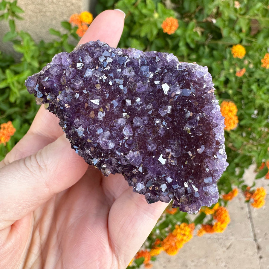 Amethyst Geode Raw