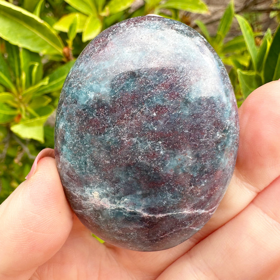 Ruby Kyanite Crystal Palm Stone