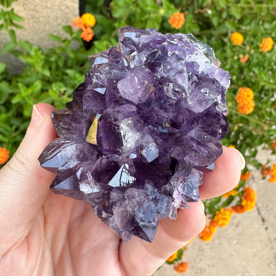 Amethyst Geode Raw