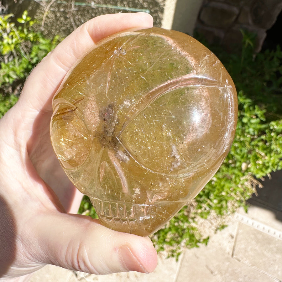 Large Rutile Citrine Lodolite Quartz Starbeing Palm Crystal Skull Carved by Leandro de Souza