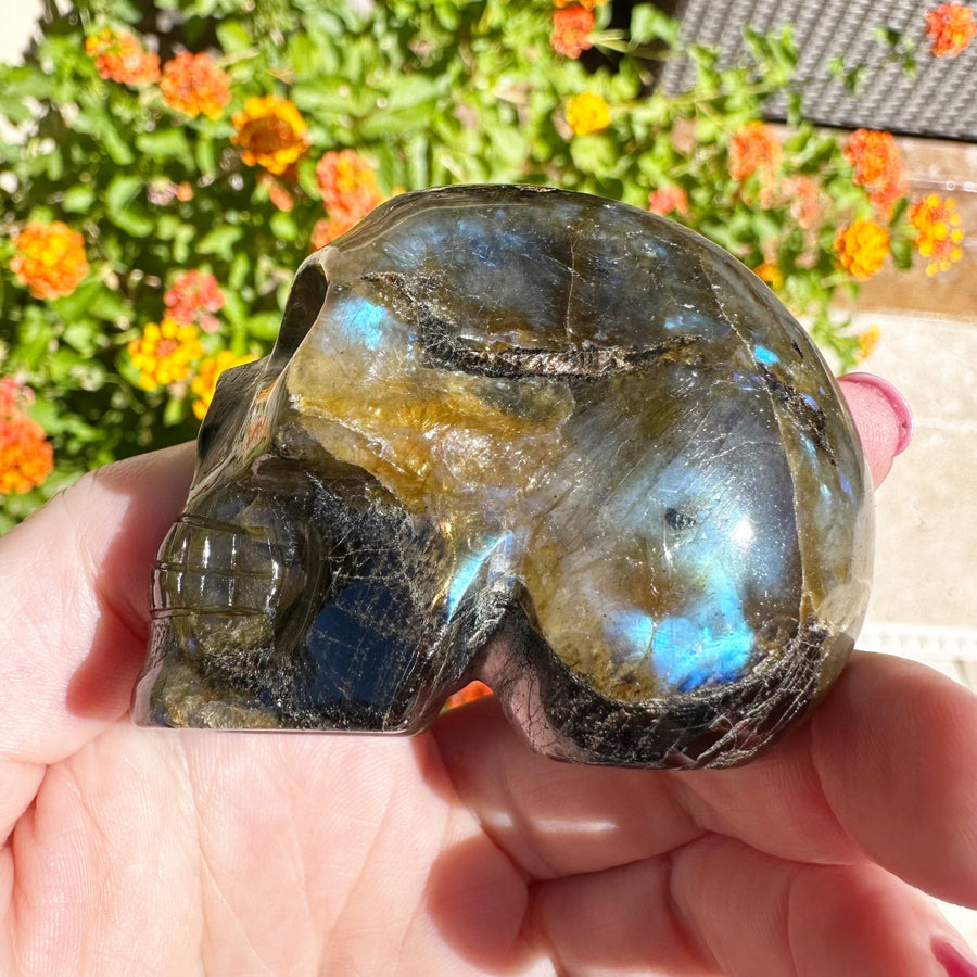 Nebula Flash Labradorite Crystal Skull Master
