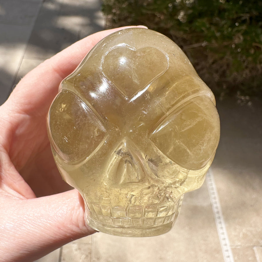 Citrine Star Child With Rainbows Crystal Skull Carved by Leandro de Souza