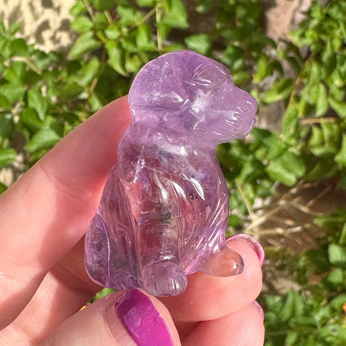 Amethyst Crystal Puppy Carved by Leandro de Souza