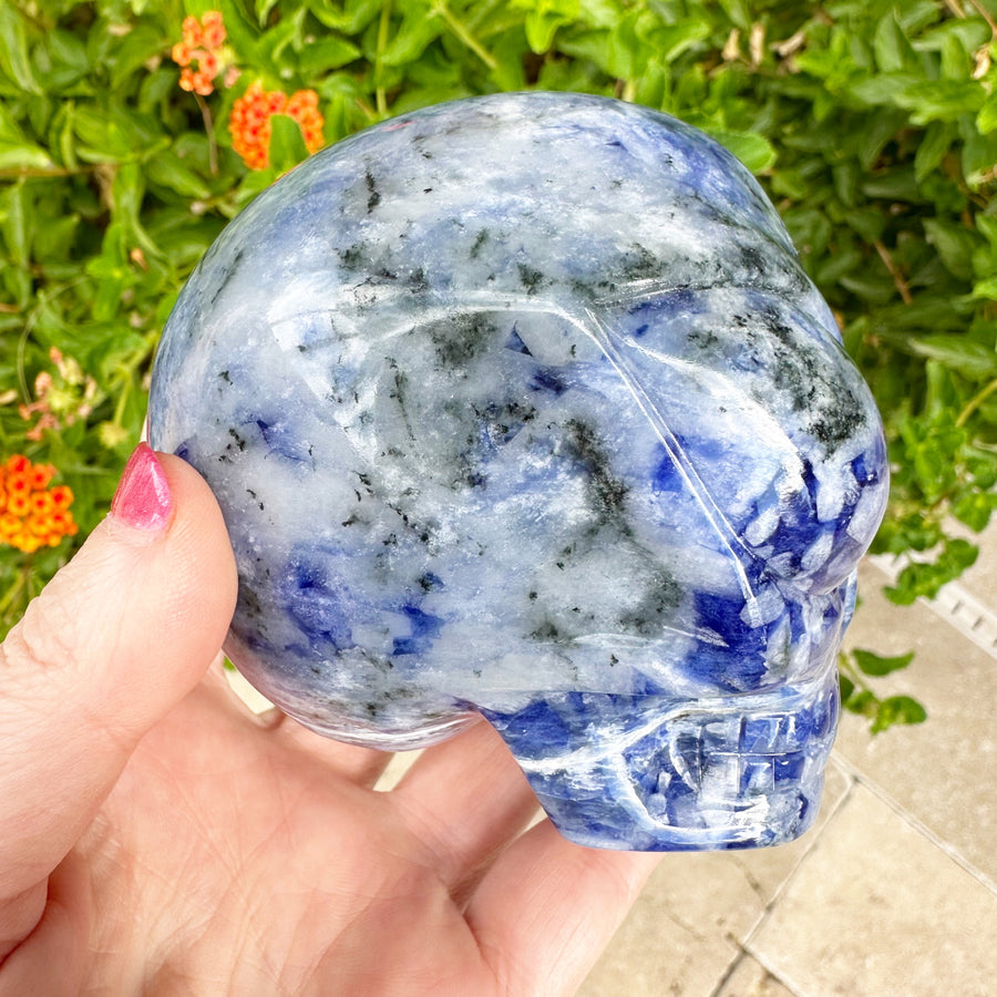 Sodalite Star Child Crystal Skull Carved by Leandro de Souza