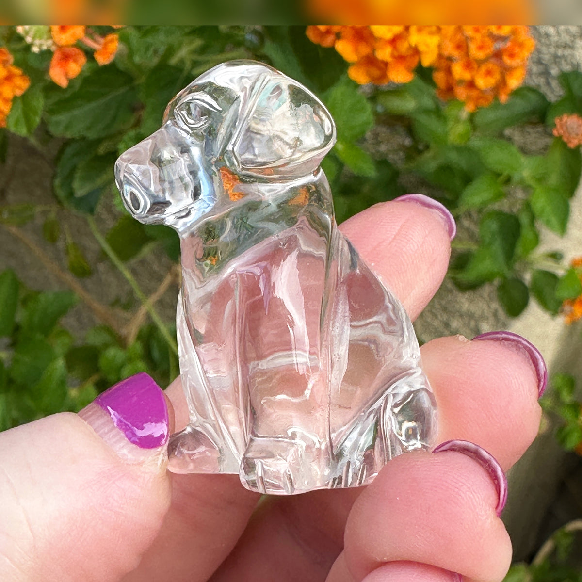 Sirius Quartz Crystal Puppy Carved by Leandro de Souza