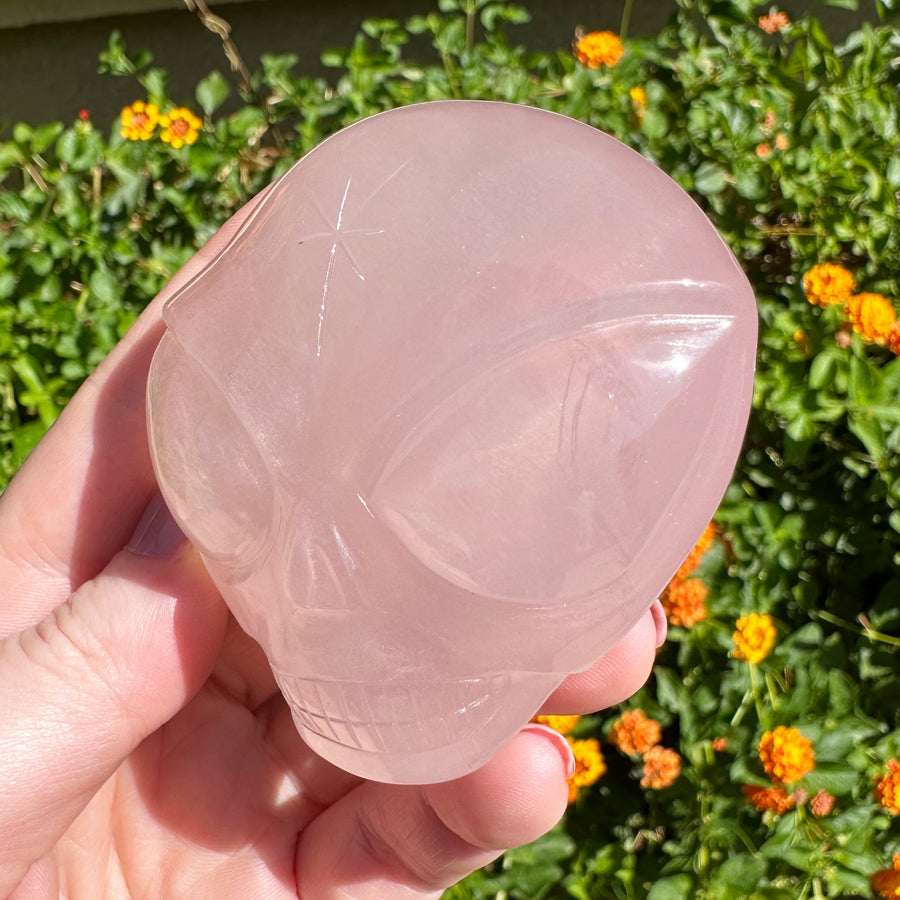 Rose Girasol Quartz Palm Starbeing Crystal Skull Carved by Leandro de Souza