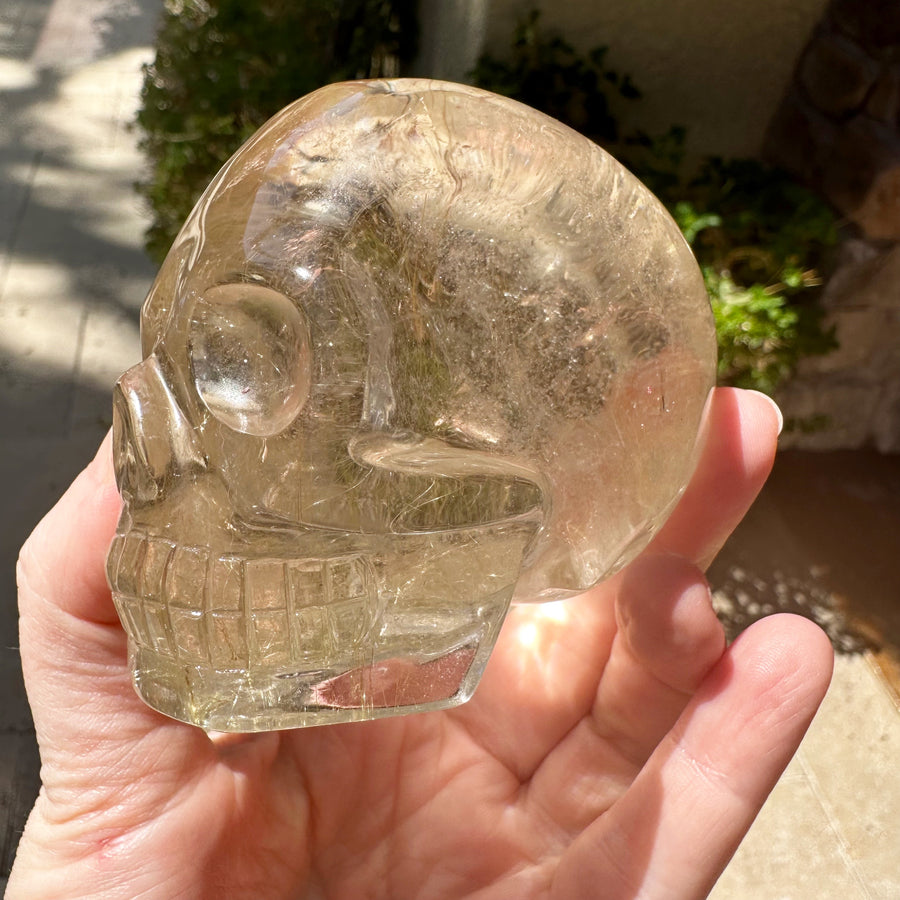 Golden Rutile Citrine Crystal Skull With Rainbows Carved by Leandro de Souza