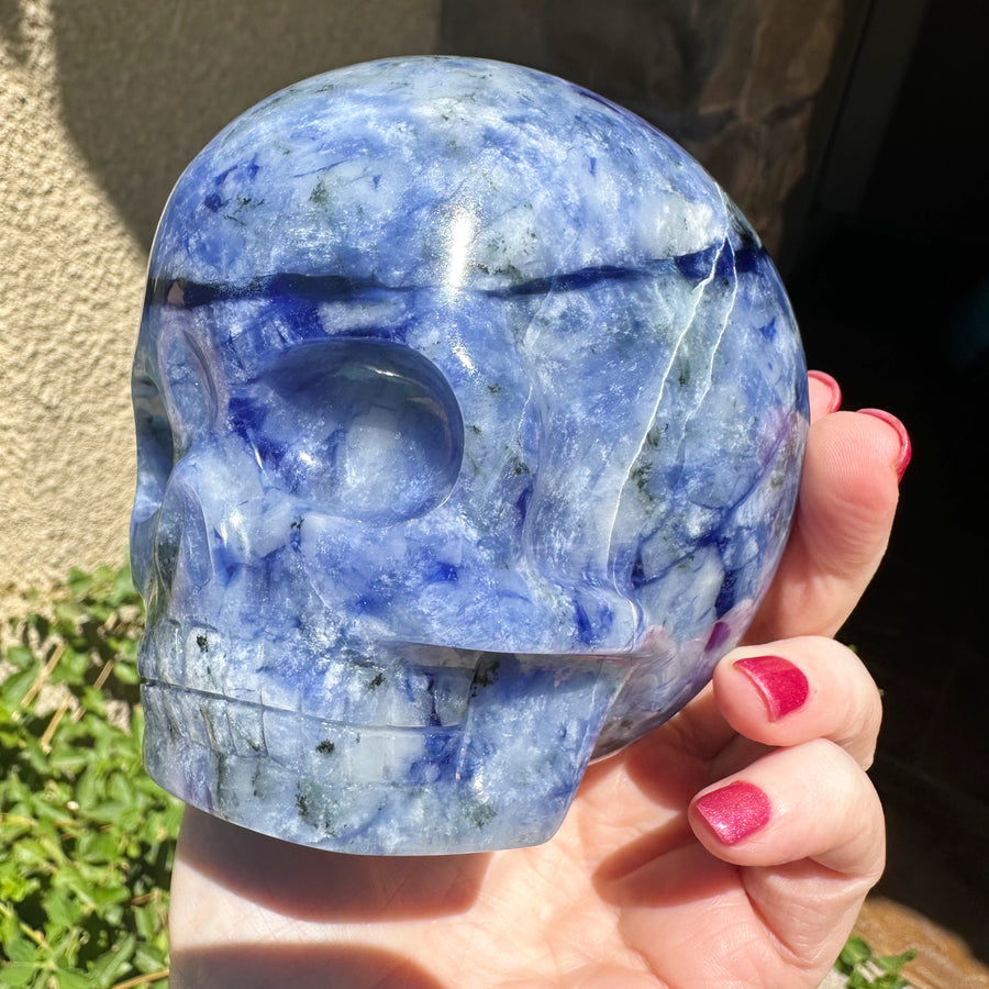Sodalite Magical Child Crystal Skull Carved by Leandro de Souza