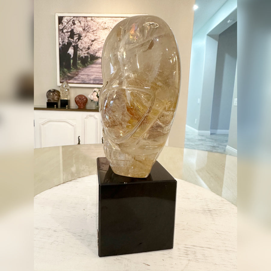 Circle 100-1 Rutile Shaman Quartz Magical Child Master Crystal Skull Carved by Leandro de Souza