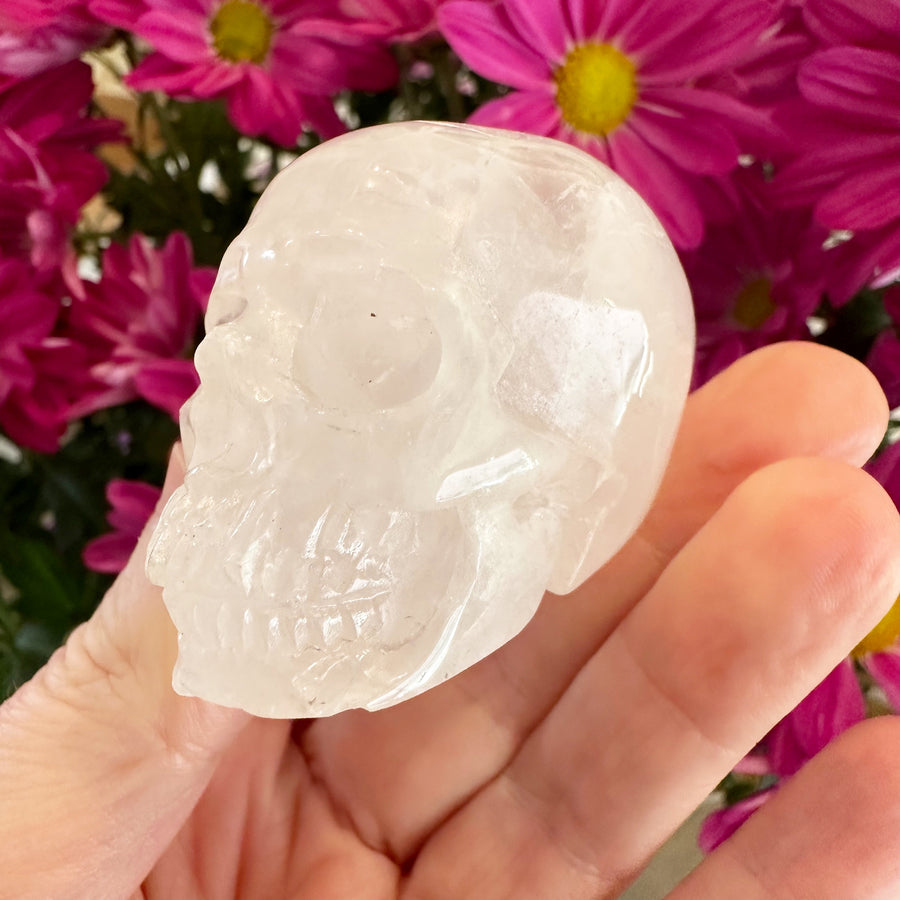 Quartz Crystal Skull Small