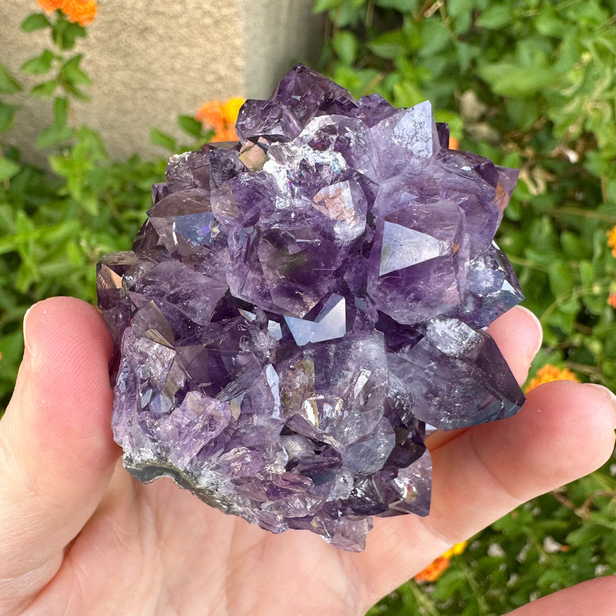 Amethyst Geode Raw Flower