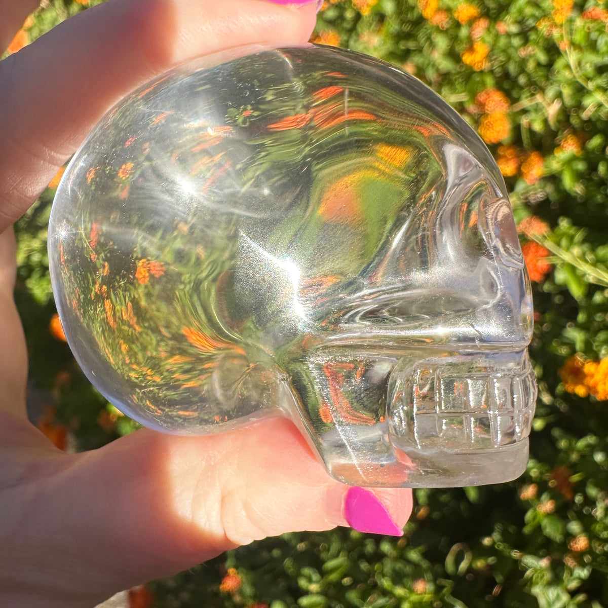 Ultra Clear Sirius Quartz Crystal Skull Carved by Leandro de Souza