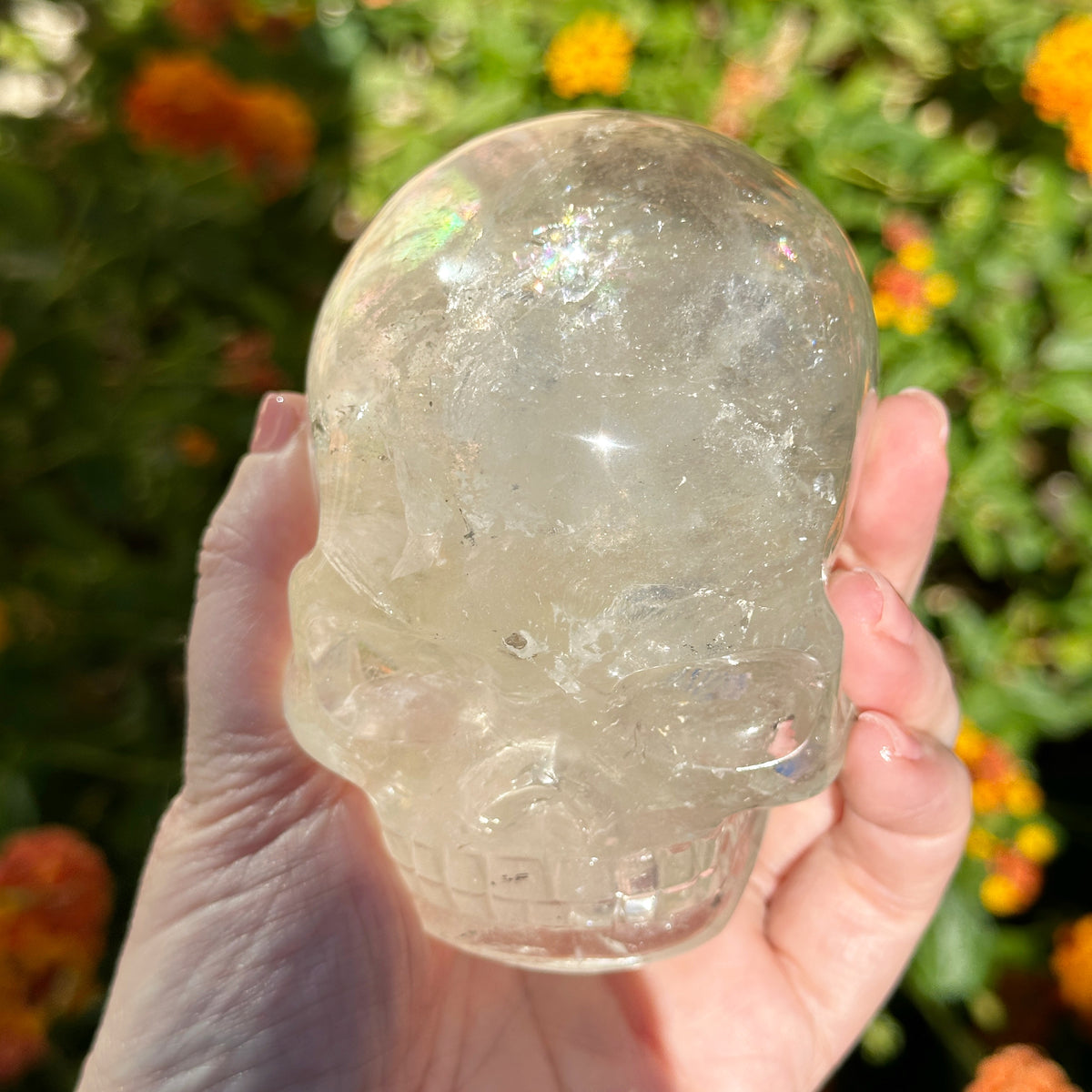 Lemurian Crystal Skull with Rainbows Carved by Leandro de Souza