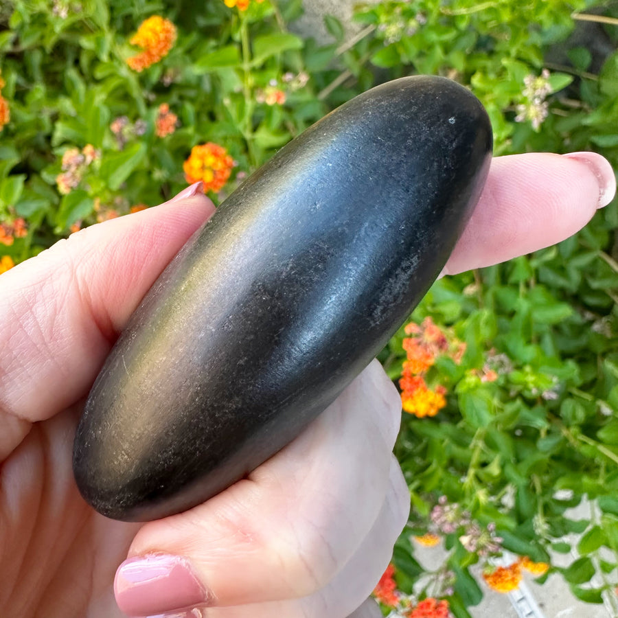 Rare Black Shiva Lingam