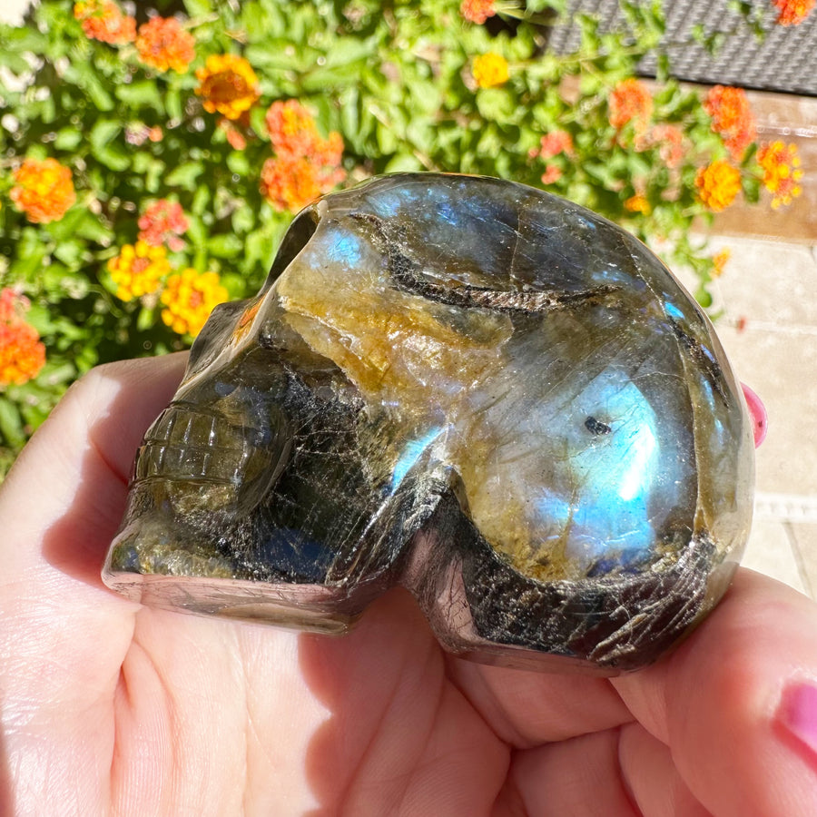 Nebula Flash Labradorite Crystal Skull Master