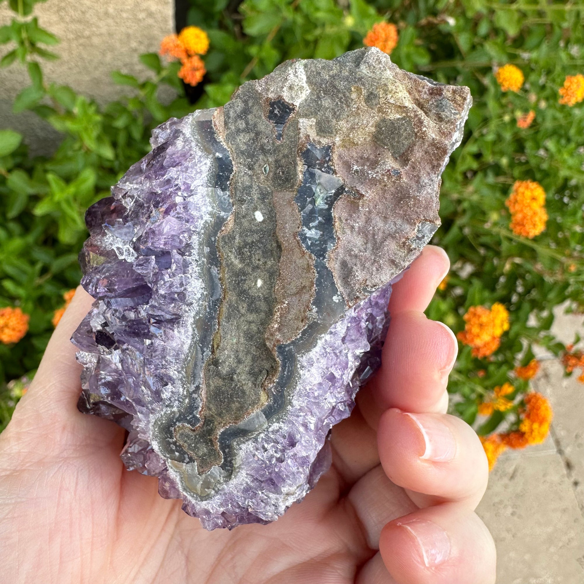 Amethyst Geode Raw