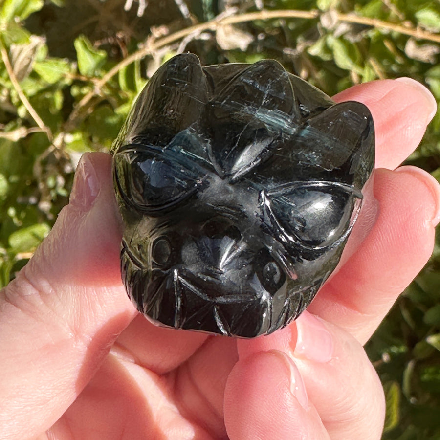 Rare Black and Green Tourmaline Phoenix by Leandro de Souza