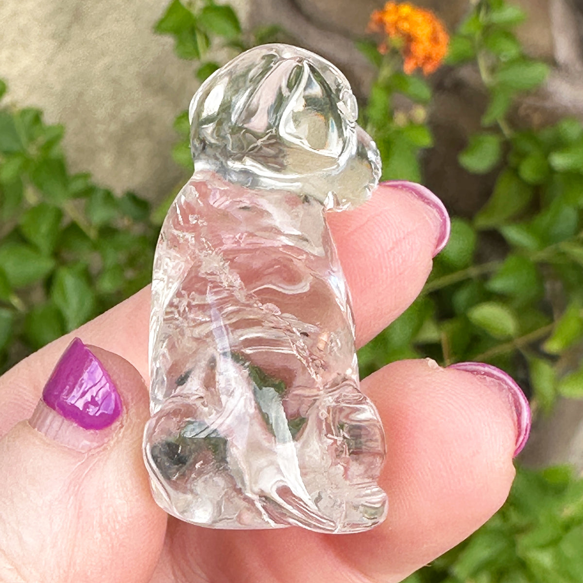 Sirius Quartz Crystal Puppy Carved by Leandro de Souza