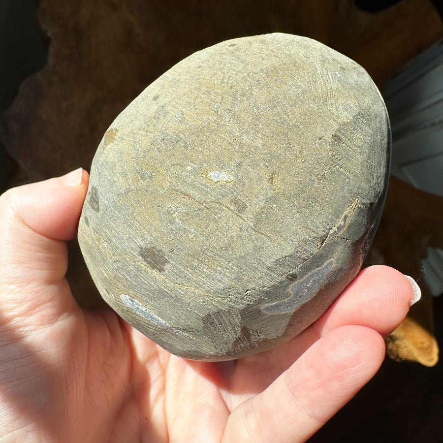 Amethyst Geode Raw Partially Polished