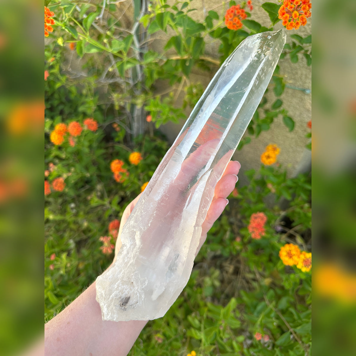 Powerhouse Lemurian Quartz Crystal from Diamantina Brazil