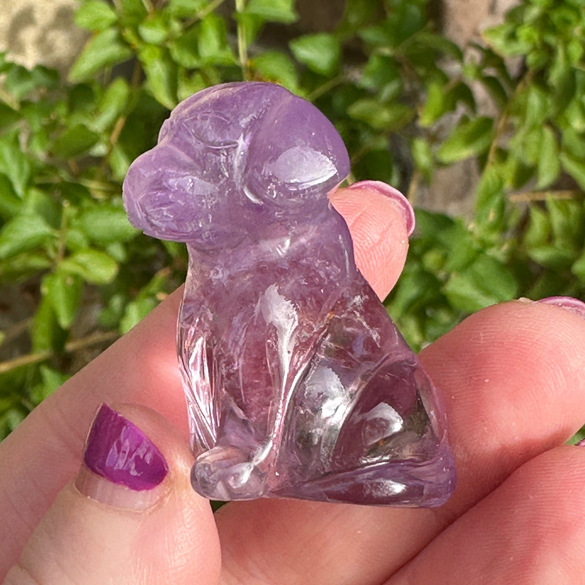 Amethyst Crystal Puppy Carved by Leandro de Souza