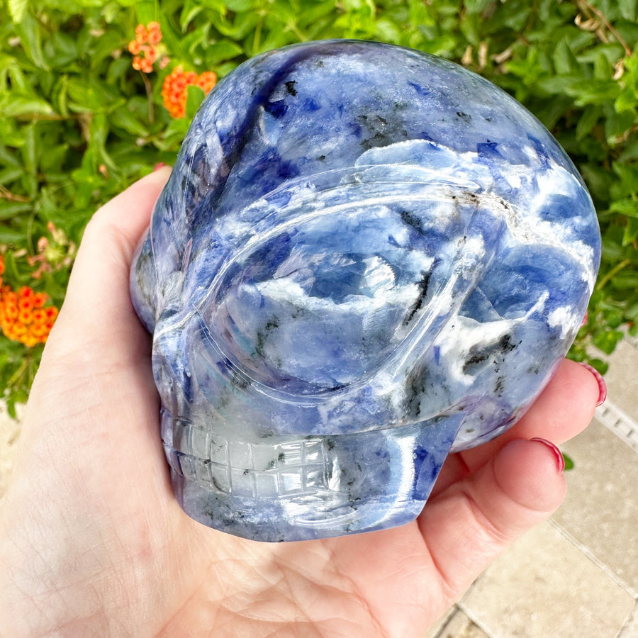 Sodalite Star Child Crystal Skull Carved by Leandro de Souza
