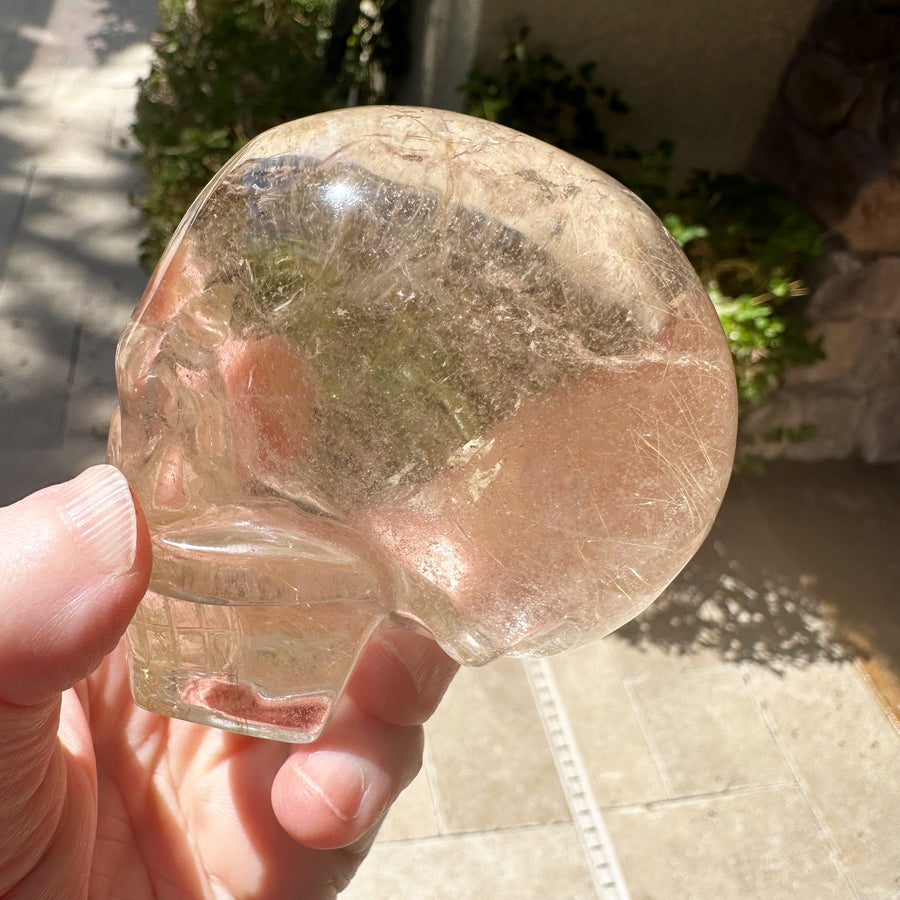 Golden Rutile Citrine Crystal Skull With Rainbows Carved by Leandro de Souza
