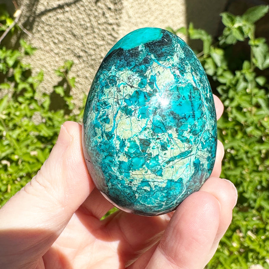 Chrysocolla Egg from Peru High Grade